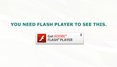 get flash
